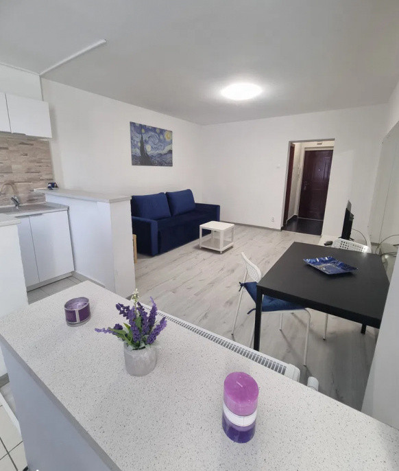 Garsoniera | Renovata complet | Metrou Gara de Nord