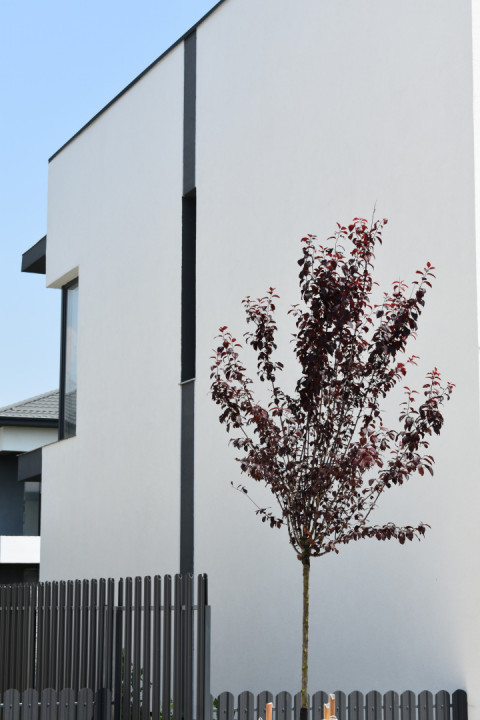 Casa Verde Individuală | 4 Camere | Teren 320 mp & 3 Locuri Parcare | Tunari 