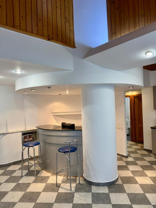 Duplex in Vila | Deosebit | 120 mp | Centrala Proprie | Floreasca 