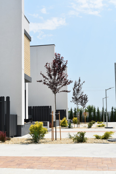 Casa Verde Individuală 4 Camere | Teren 320 mp & 3 Locuri Parcare | Tunari 