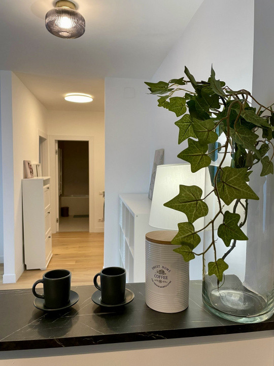 Apartament de 2 camere cu gradina | Centrala proprie | Unirii