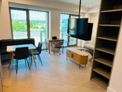 Studio dublu | Cortina 126 | Iancu Nicolae | Modern | 