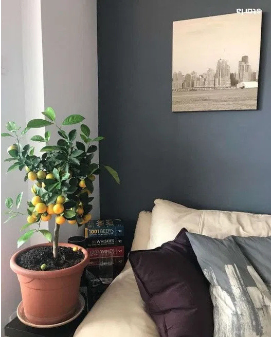 Apartament 3 Camere | 110 mp | Metrou | Titulescu