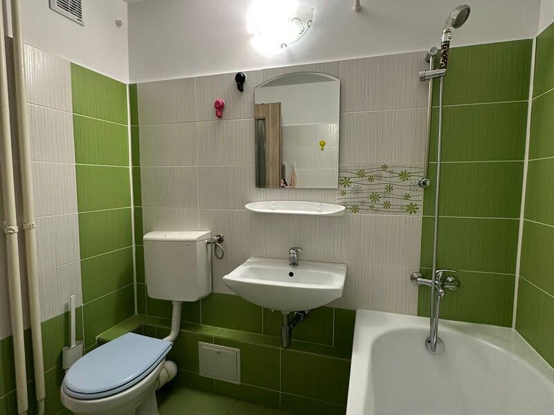 Apartament 2 camere | Renovat | Tei